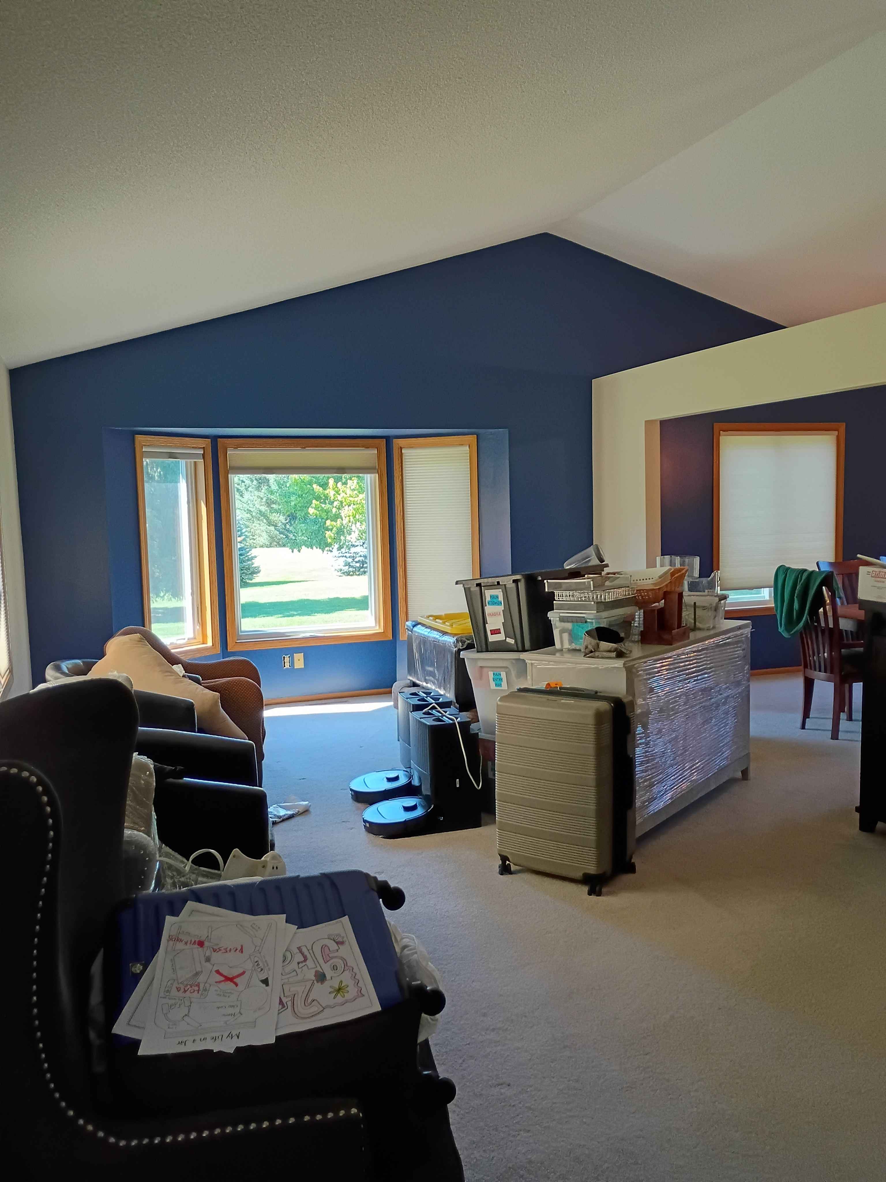 Ham Lake living room with a navy vaulted accent wall and furniture in place